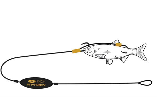 Balzer Adrenalin Cat Allround Vorfach 30g