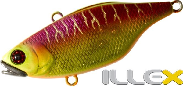 TN/50 VISIBLE SPAWNING TIGER