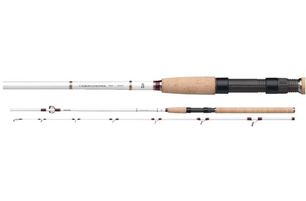 Daiwa Team Daiwa Pilk 802MFS 2,40m 80-150g
