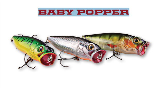 DAM Effzett Baby Popper 80mm