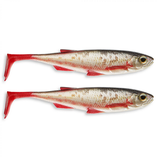 Daiwa Shad Duckfin Liveshad Länge 20cm 2 Stück