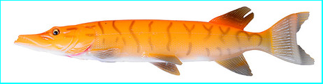 Savage Gear 3D Line Thru Pike 20cm 66g Albino Pike 50432