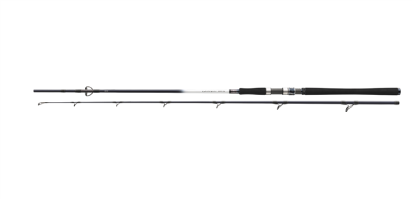 Daiwa GrandWave Cod 2,40m 150-300g